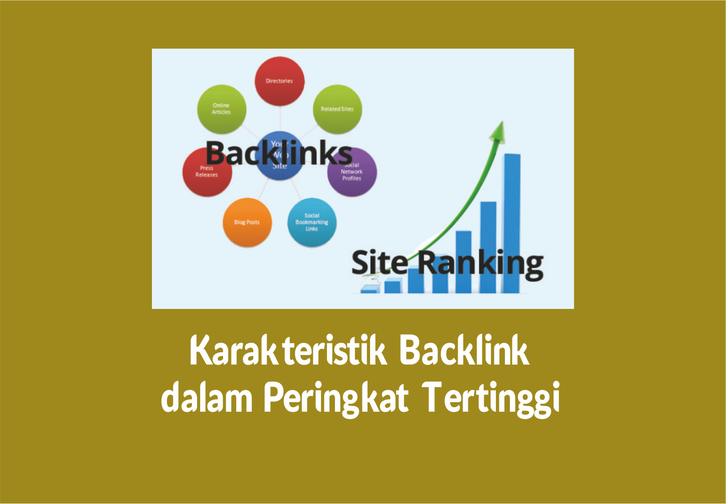 Read more about the article Karakteristik Backlink dalam Peringkat Tertinggi